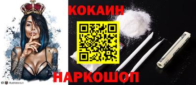 соль ск Новодвинск